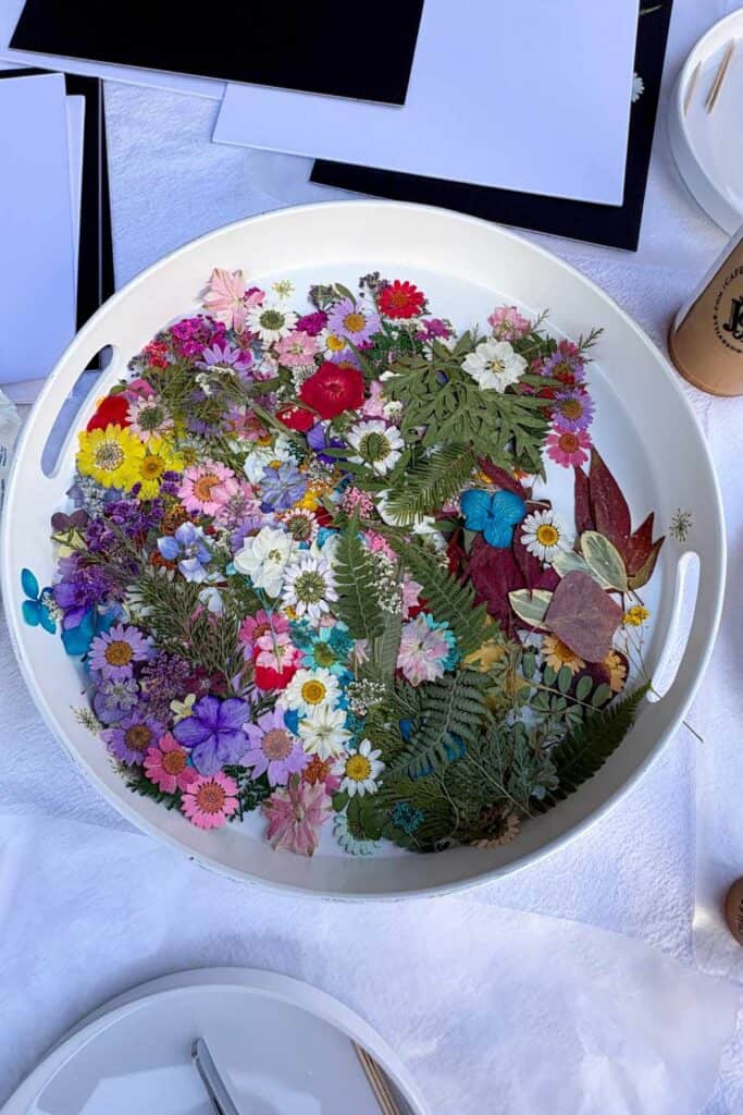 A large white tray filled with a colorful assortment of dried flowers, ferns, and leaves in every color of the rainbow, surrounded by black mat boards and craft supplies on a white table.