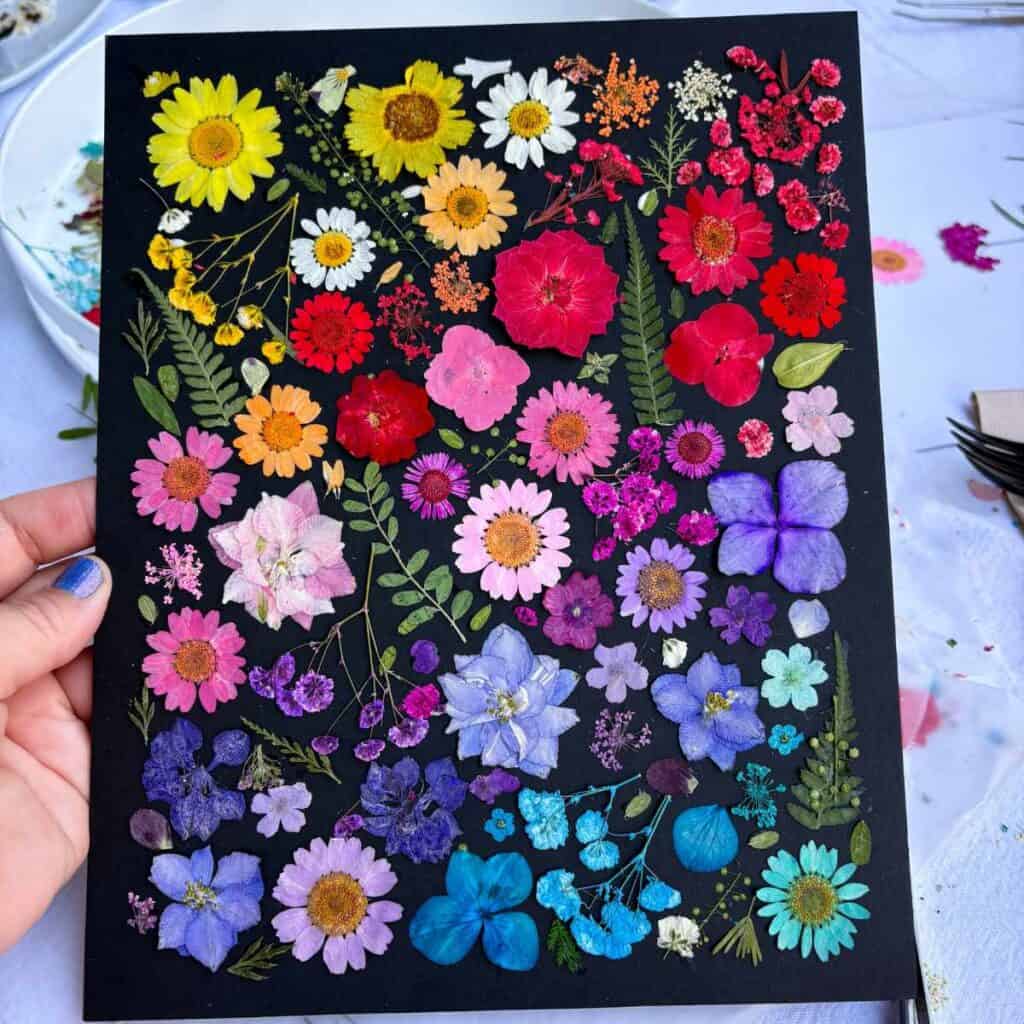A stunning pressed flower art piece on black mat board filled with dozens of dried flowers arranged in a full rainbow gradient, from bright yellows and reds at the top to deep purples, blues, and teals at the bottom.