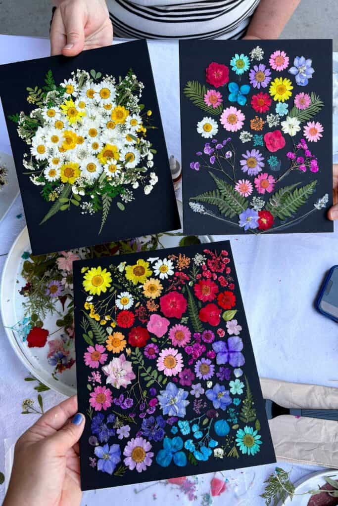 Three completed pressed flower art pieces on black mat board held up together, showing three completely different styles — a white and yellow daisy bouquet, a loose colorful scattered arrangement, and a full rainbow gradient design.