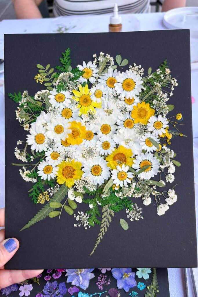 A close-up of a pressed flower art piece on black mat board covered in a densely layered bouquet of white daisies, yellow sunflowers, baby's breath, and green ferns and leaves.